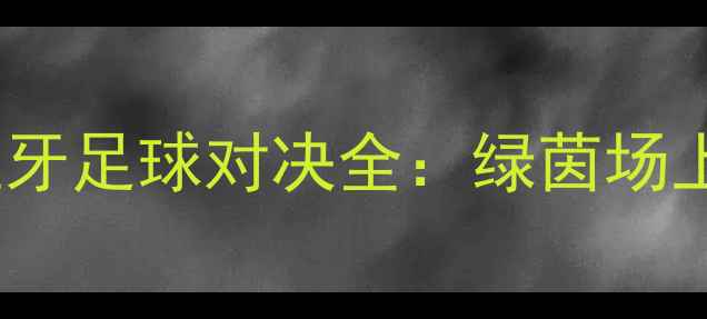 图片 2008年中国VS西班牙足球对决全：绿茵场上的国家荣誉战🏆1