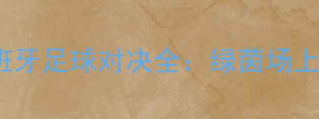 图片 2008年中国VS西班牙足球对决全：绿茵场上的国家荣誉战🏆2