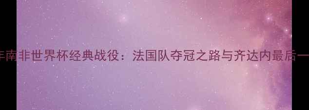图片 2009年南非世界杯经典战役：法国队夺冠之路与齐达内最后一舞全2