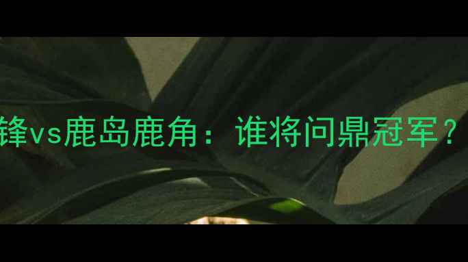 图片 J联赛焦点战川崎前锋vs鹿岛鹿角：谁将问鼎冠军？关键数据+胜负预测