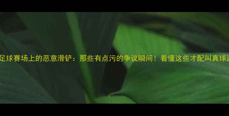图片 ⚽足球赛场上的恶意滑铲：那些有点污的争议瞬间！看懂这些才配叫真球迷1