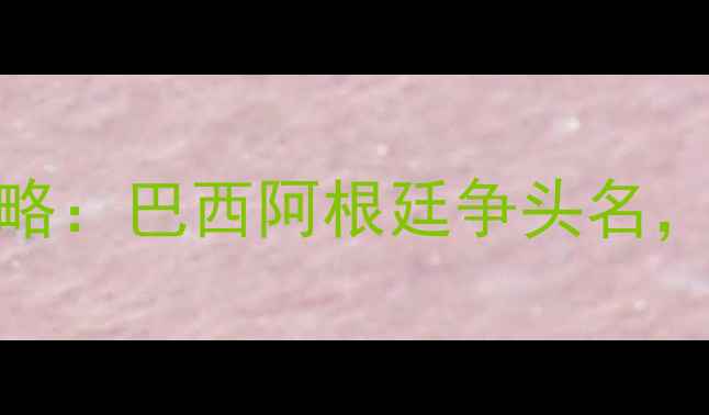 图片 世预赛美洲区世界杯攻略：巴西阿根廷争头名，附晋级规则+观赛指南2