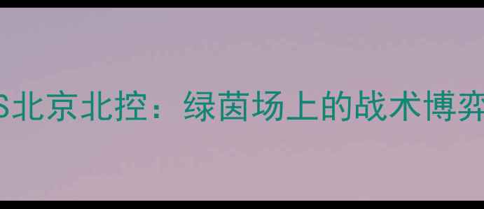 图片 中超巅峰对决广州队VS北京北控：绿茵场上的战术博弈与历史性时刻全🔥🏆1
