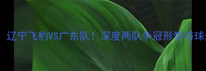 图片 中超焦点战：辽宁飞豹VS广东队！深度两队争冠形势与球迷必看看点1