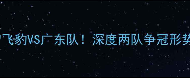 图片 中超焦点战：辽宁飞豹VS广东队！深度两队争冠形势与球迷必看看点2