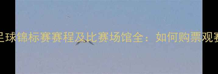 图片 亚洲足球锦标赛赛程及比赛场馆全：如何购票观赛攻略