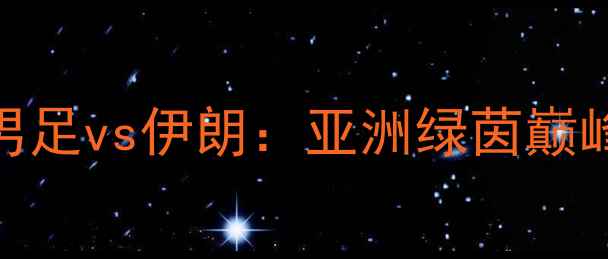 图片 亚锦赛男足vs伊朗：亚洲绿茵巅峰对决全