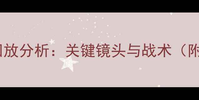 图片 伊朗vs立陶宛比赛回放分析：关键镜头与战术（附120分钟完整数据）