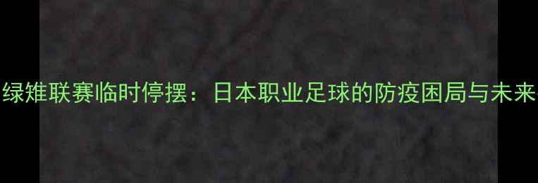 图片 冈山绿雉联赛临时停摆：日本职业足球的防疫困局与未来挑战