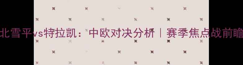 图片 北雪平vs特拉凯：中欧对决分析｜赛季焦点战前瞻