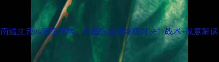 图片 南通支云vs海南海瑞：中超保级战终极对决！战术+战意解读