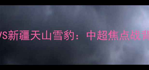 图片 央视直播！辽宁队VS新疆天山雪豹：中超焦点战背后的民族体育精神