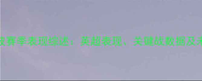 图片 奥拉迪波赛季表现综述：英超表现、关键战数据及未来展望