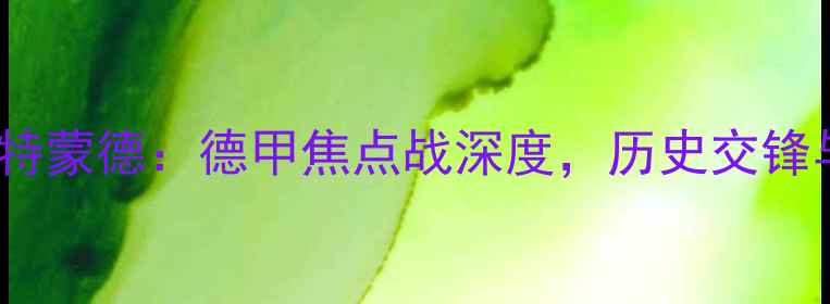 图片 奥格斯堡vs多特蒙德：德甲焦点战深度，历史交锋与战术博弈全2