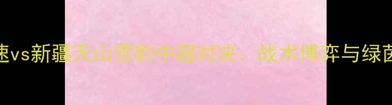 图片 山东高速vs新疆天山雪豹中超对决：战术博弈与绿茵争锋全