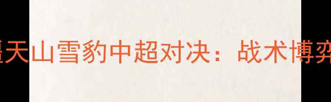 图片 山东高速vs新疆天山雪豹中超对决：战术博弈与绿茵争锋全1