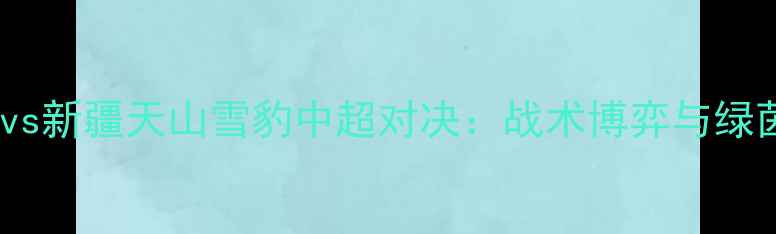 图片 山东高速vs新疆天山雪豹中超对决：战术博弈与绿茵争锋全2