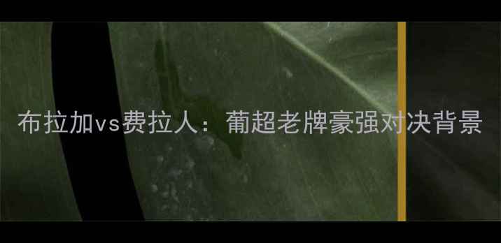 图片 布拉加vs费拉人：葡超老牌豪强对决背景