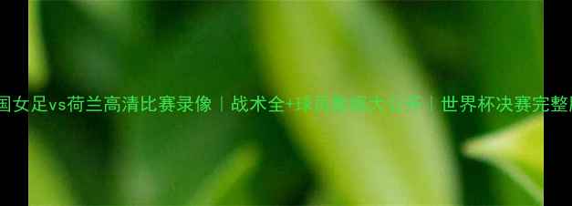 图片 德国女足vs荷兰高清比赛录像｜战术全+球员数据大公开｜世界杯决赛完整版2