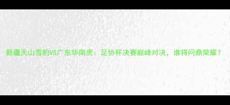 图片 新疆天山雪豹VS广东华南虎：足协杯决赛巅峰对决，谁将问鼎荣耀？