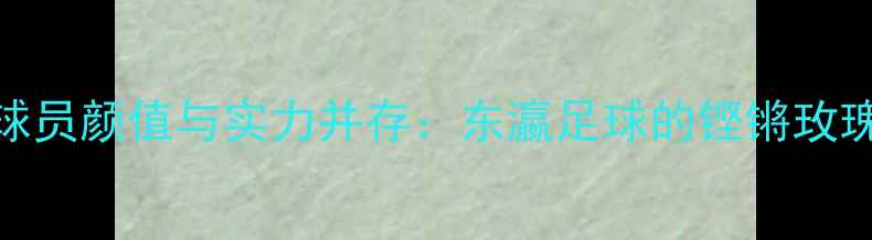 图片 日本女足球员颜值与实力并存：东瀛足球的铿锵玫瑰培养体系
