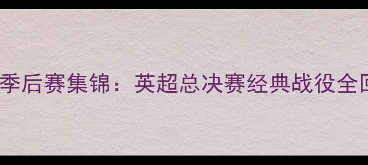 图片 曼城vs热刺季后赛集锦：英超总决赛经典战役全回顾与战术2