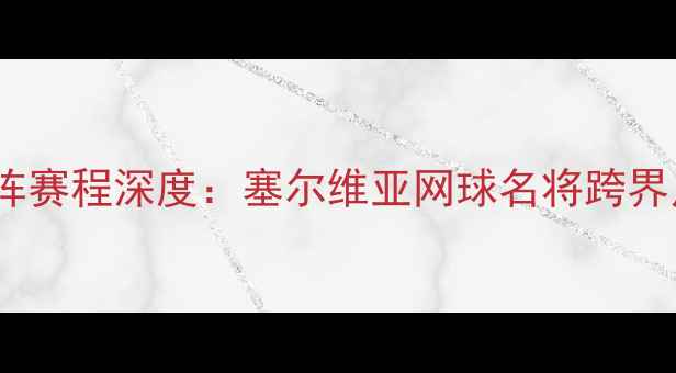 图片 欧洲杯预选赛德约科维奇助阵赛程深度：塞尔维亚网球名将跨界足球赛事时间表及观赛指南2