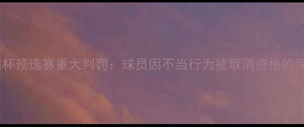 图片 欧洲杯预选赛重大判罚：球员因不当行为被取消资格的深度2