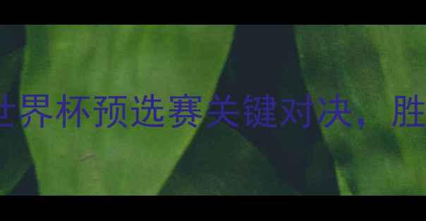 图片 法国vs洪都拉斯：世界杯预选赛关键对决，胜负天平如何倾斜？2