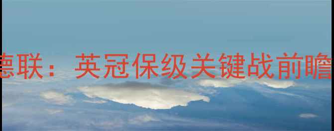 图片 深度雷丁vs谢菲尔德联：英冠保级关键战前瞻与战术博弈全指南1