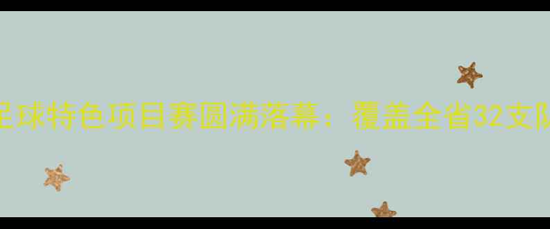 图片 湖北省青少年足球特色项目赛圆满落幕：覆盖全省32支队伍赛事亮点全