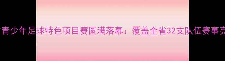 图片 湖北省青少年足球特色项目赛圆满落幕：覆盖全省32支队伍赛事亮点全1