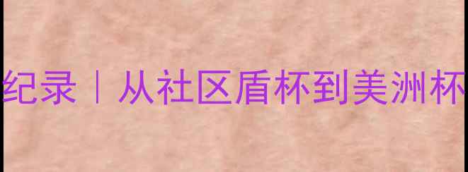 图片 纽约尼克斯足球赛全纪录｜从社区盾杯到美洲杯的史诗级狂欢！🏆⚽