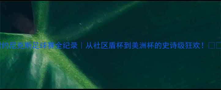 图片 纽约尼克斯足球赛全纪录｜从社区盾杯到美洲杯的史诗级狂欢！🏆⚽1