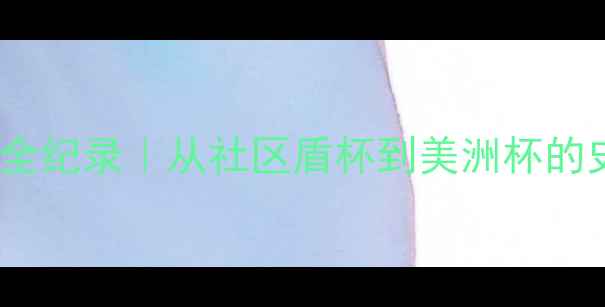 图片 纽约尼克斯足球赛全纪录｜从社区盾杯到美洲杯的史诗级狂欢！🏆⚽2