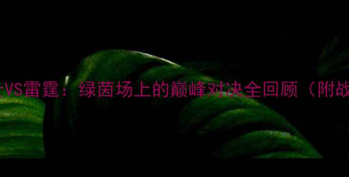 图片 经典战役！骑士VS雷霆：绿茵场上的巅峰对决全回顾（附战术+球星数据）