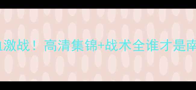 图片 自由VS火花热血激战！高清集锦+战术全谁才是南美足坛新王？1
