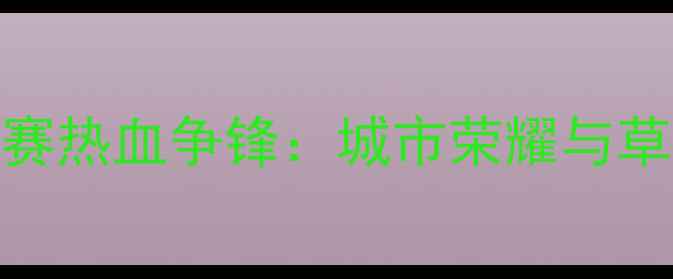 图片 苏州度业余足球联赛热血争锋：城市荣耀与草根梦想的完美碰撞