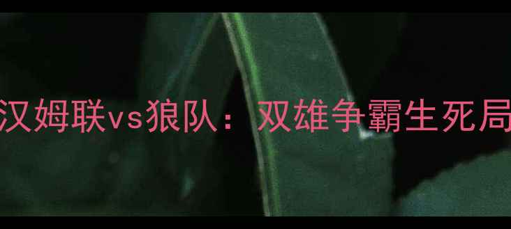 图片 英超焦点战西汉姆联vs狼队：双雄争霸生死局！战术+数据2