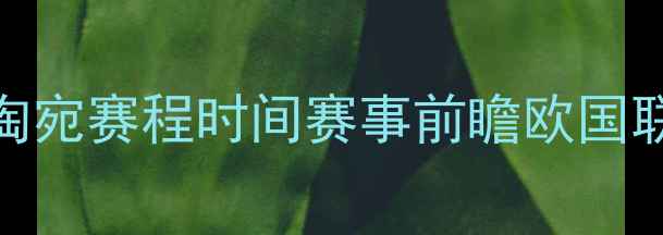 图片 葡萄牙vs立陶宛赛程时间赛事前瞻欧国联预选赛看点