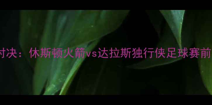 图片 赛季焦点对决：休斯顿火箭vs达拉斯独行侠足球赛前瞻与战术2