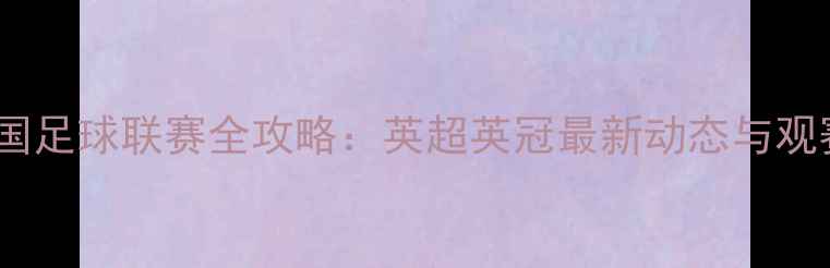 图片 赛季英国足球联赛全攻略：英超英冠最新动态与观赛指南1