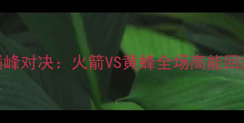 图片 赛季足坛巅峰对决：火箭VS黄蜂全场高能回放与战术全