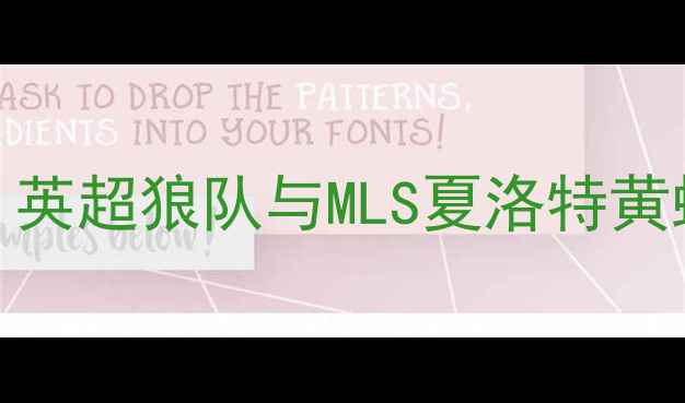 图片 赛季黄蜂vs森林狼数据大：英超狼队与MLS夏洛特黄蜂攻防对比及未来赛事展望