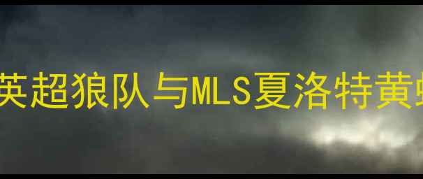 图片 赛季黄蜂vs森林狼数据大：英超狼队与MLS夏洛特黄蜂攻防对比及未来赛事展望2