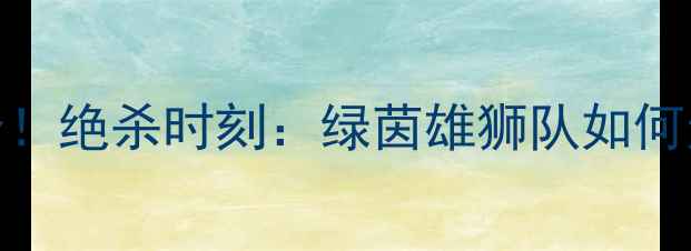 图片 足球全场1分！绝杀时刻：绿茵雄狮队如何逆转夺冠？1