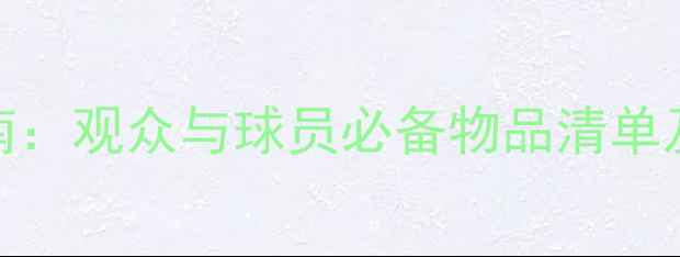 图片 足球比赛入场携带指南：观众与球员必备物品清单及注意事项（最新版）