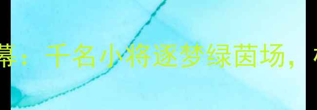 图片 辽宁少儿足球联赛圆满落幕：千名小将逐梦绿茵场，校园足球发展再上新台阶1