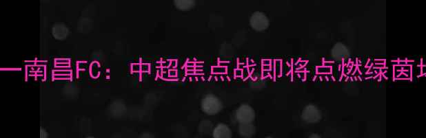 图片 辽宁沈阳城市FCvS八一南昌FC：中超焦点战即将点燃绿茵场！赛季终极对决全2