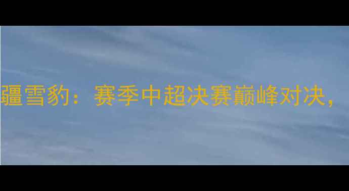 图片 辽宁队夺冠VS新疆雪豹：赛季中超决赛巅峰对决，谁将问鼎冠军？